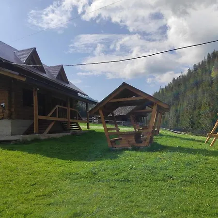 шепіт карпат Synewyrska Polana