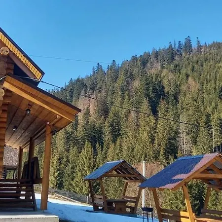 шепіт карпат *