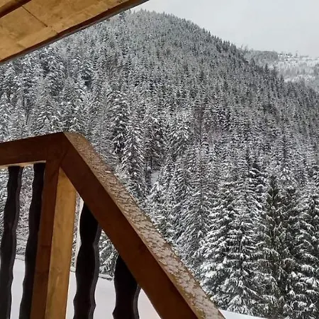 шепіт карпат Holiday home
