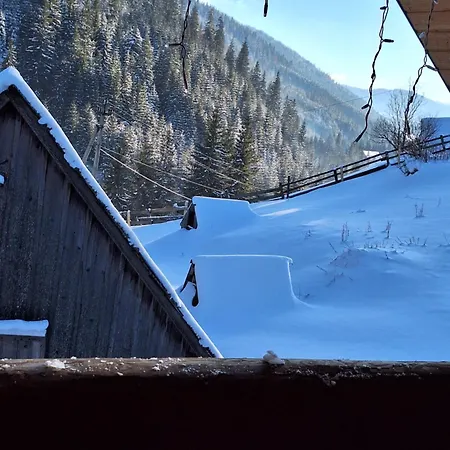 Ferienhaus шепіт карпат Synevyrsʼka Polyana