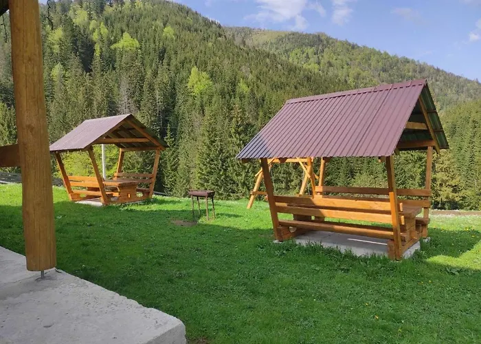 шепіт карпат Holiday home