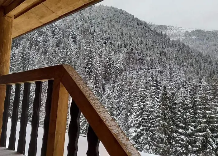 шепіт карпат Holiday home