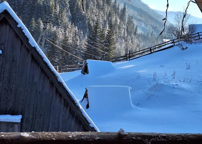 Holiday home шепіт карпат Synevyrs'ka Polyana