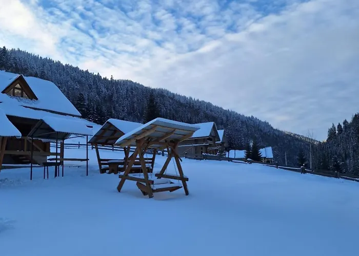 Holiday home шепіт карпат